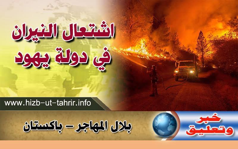 khabar2811163