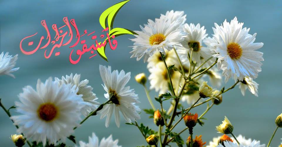 wamadat280616