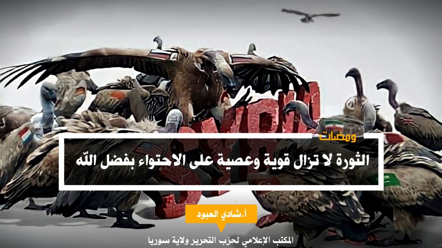 ٢٠٢١٠٢٢٢ ٠٠٣٤٤٨