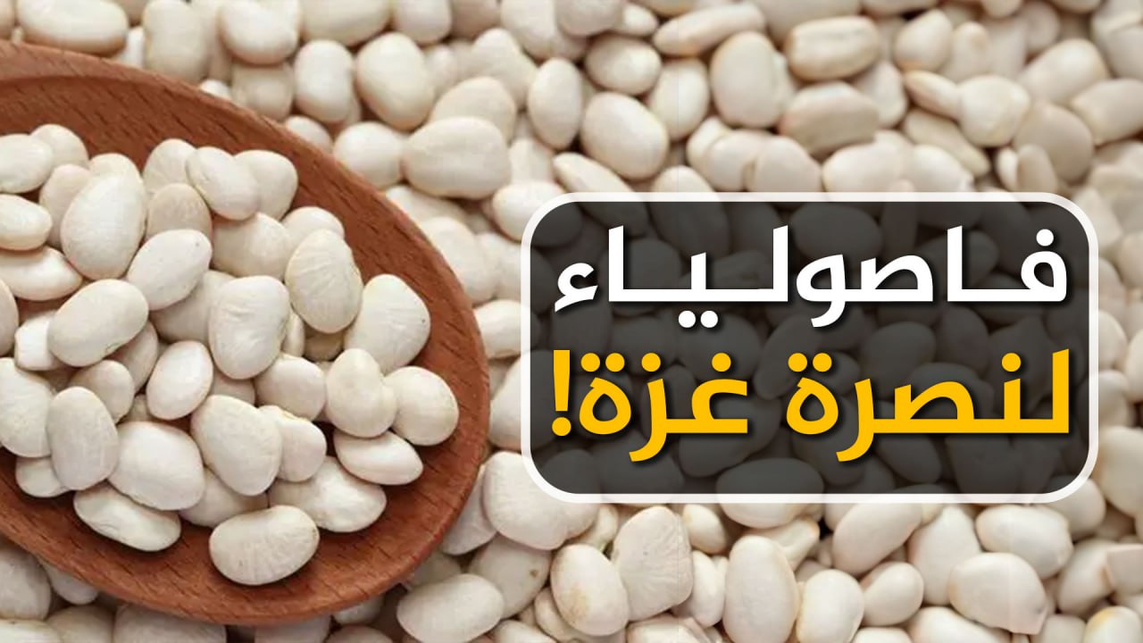 photo 2023 11 20 13 05 07