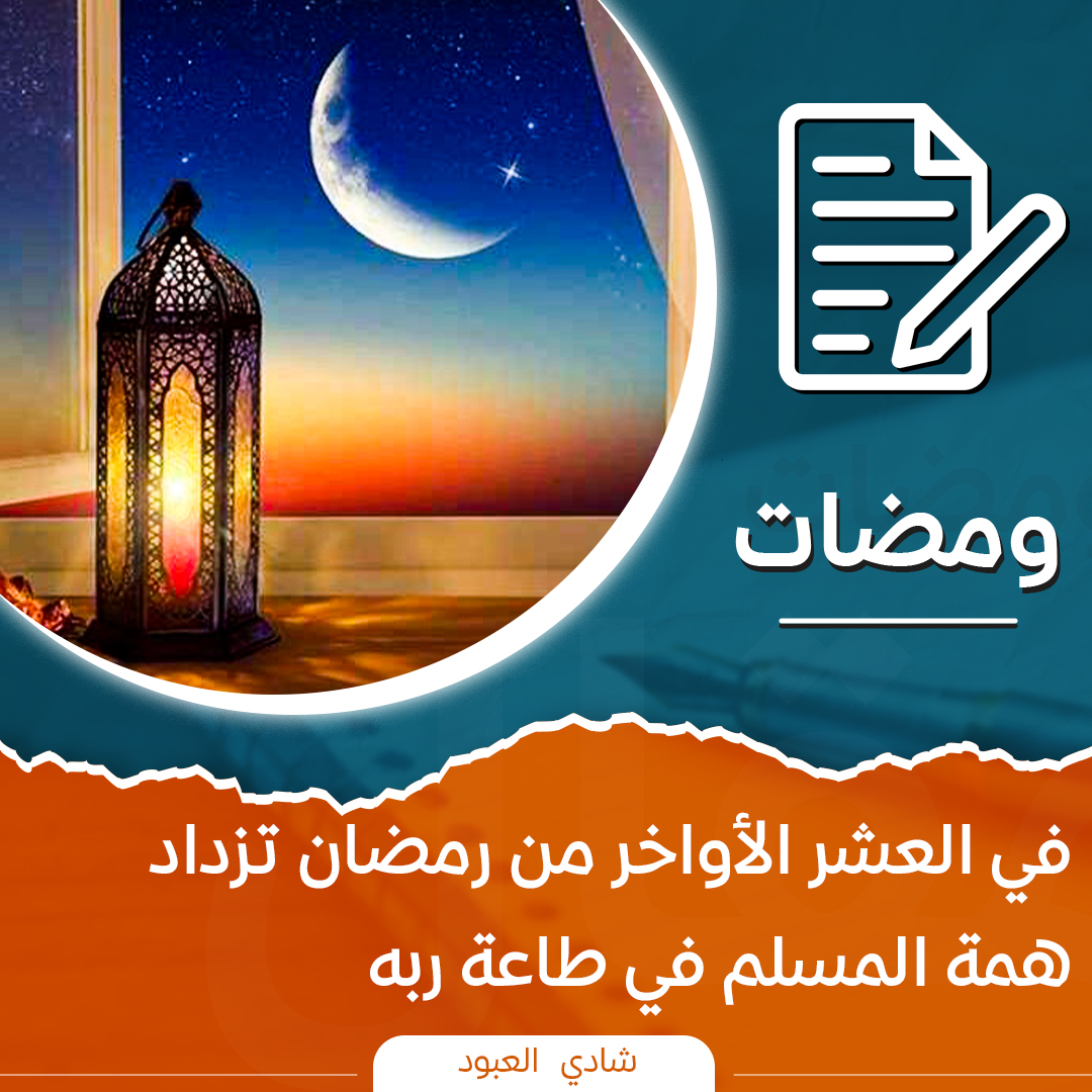 شادي العبود